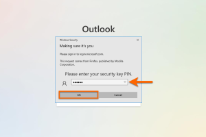 Enter your PIN for the Yubikey in the new window. Confirm with "OK". Note: This window may look different depending on the operating system and web browser.