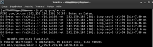 Terminal-Fenster mit erfolgreich ausgeführtem Ping-Befehl an google.com