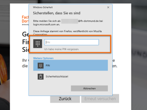 Anmeldebildschirm von Windows Hello. Ein Eingabefeld fordert zur Eingabe Ihrer PIN auf.